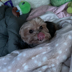 Meet your Posher, Brianna